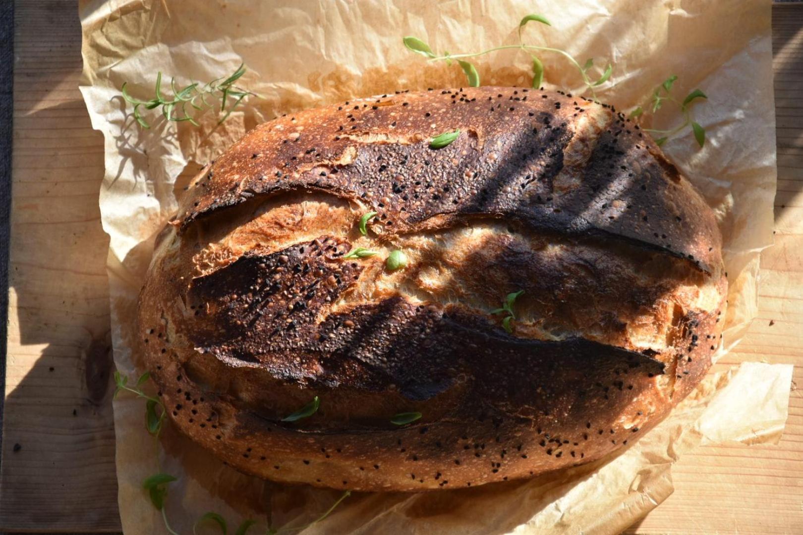 הוילה Siedlisko Nad Lakami מראה חיצוני תמונה